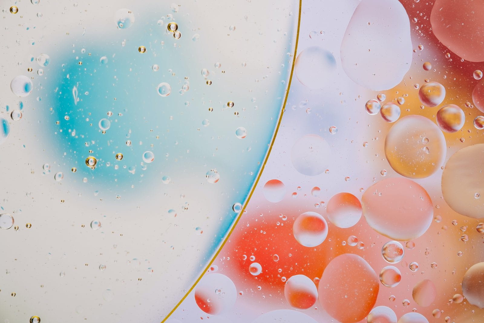 abstract photo of colorful bubbles